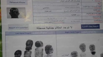 داخل المولات التجارية.. آلية استخراج فيش وتشبيه مستعجل خلال ساعات فقط